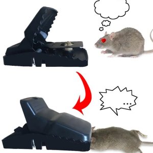 MOUSE CATCHER TRAP CAGE WITH MOUSE FIGURE FOR HOME KITCHEN ROOM OFFICE INDOOR OUTDOOR MICE PEST CONTROL REUSABLE 1 PC