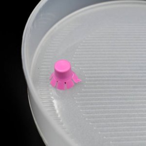 4LAYER SPROUT MAKER FOR HOUSEHOLD AND KITCHEN  IDEAL FOR JUICES BEVERAGES