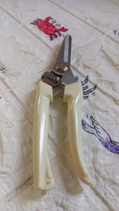 EFFICIENT GARDEN PRUNING SHEARS WITH ANTISLIP HANDLE FOR EASY FRUIT TREE PRUNING