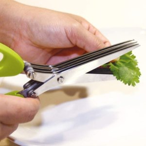 Stainless steel 3 blade herbs scissor