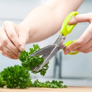 Stainless steel 3 blade herbs scissor