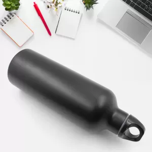 Stainless Steel Vacuum Water Bottle with Carry Handle Ideal for Office Gym Home Kitchen Travel Approx 750 mL