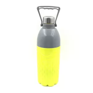 High Quality Plastic Sports Insulated Water Bottle with Handle  BPA Free and  Leak Proof
