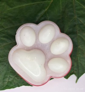 Resin Paw Print Trinket Box