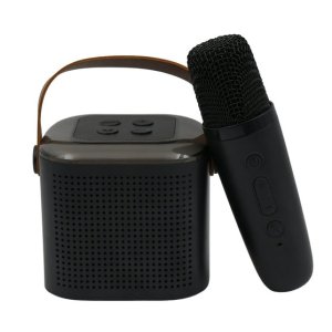 Wireless Speaker Microphone Set RGB Light Support