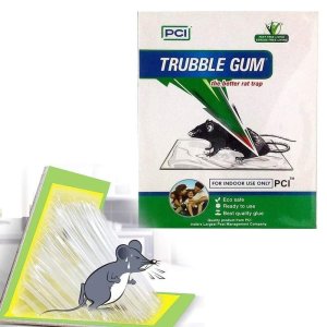 Pci Cardboard Troublegum Mouse Trap 1 pc