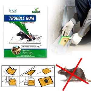 Pci Cardboard Troublegum Mouse Trap 1 pc