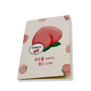 Cute Journal Diary Notebook for Women Men Memo Notepad Sketchbook 16 Pages
