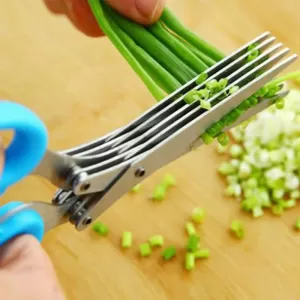 Multifunction Vegetable Herbs Scissor with 5 Blades