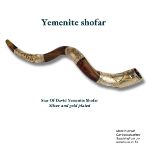 Star of David Yemenite Shofar | Silver & Gold Plated | Made in Israel | Customizable Judaica Gift