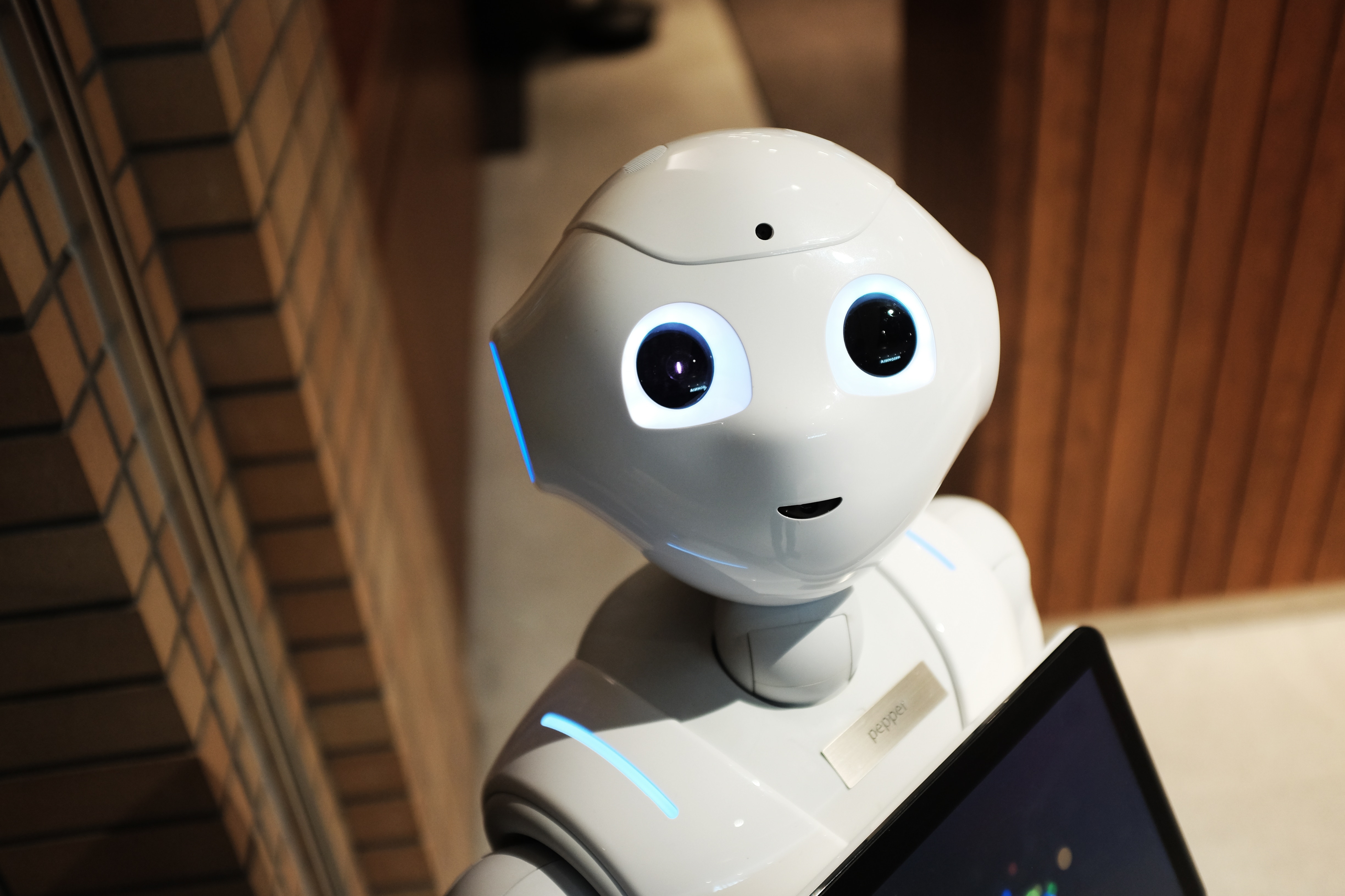 Mechatronics and Robotics