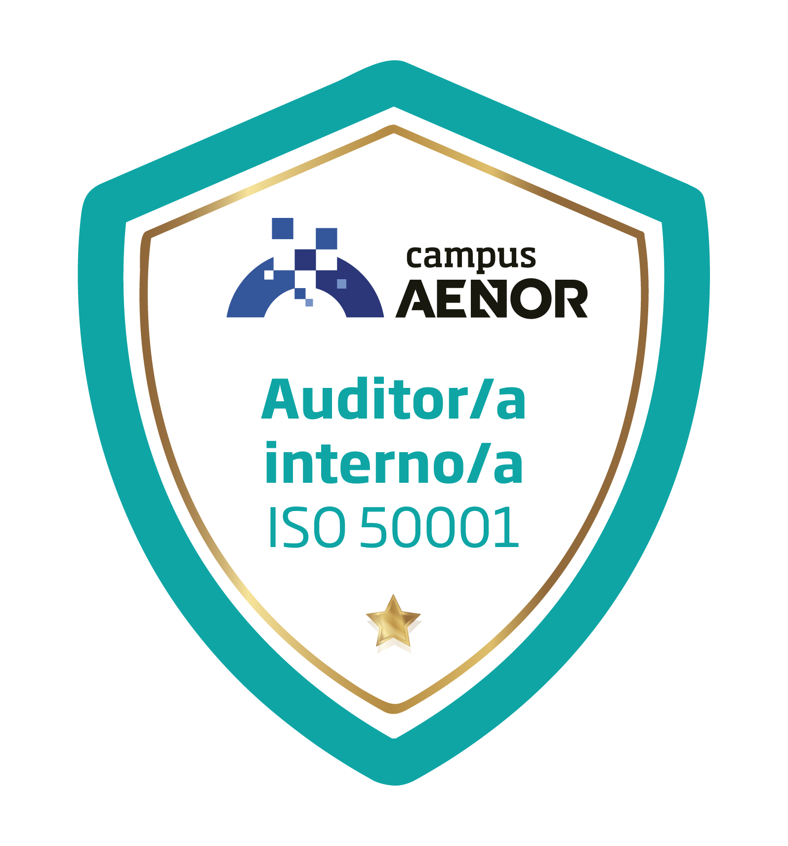 Certificado de Raul German Hernandez Martinez
