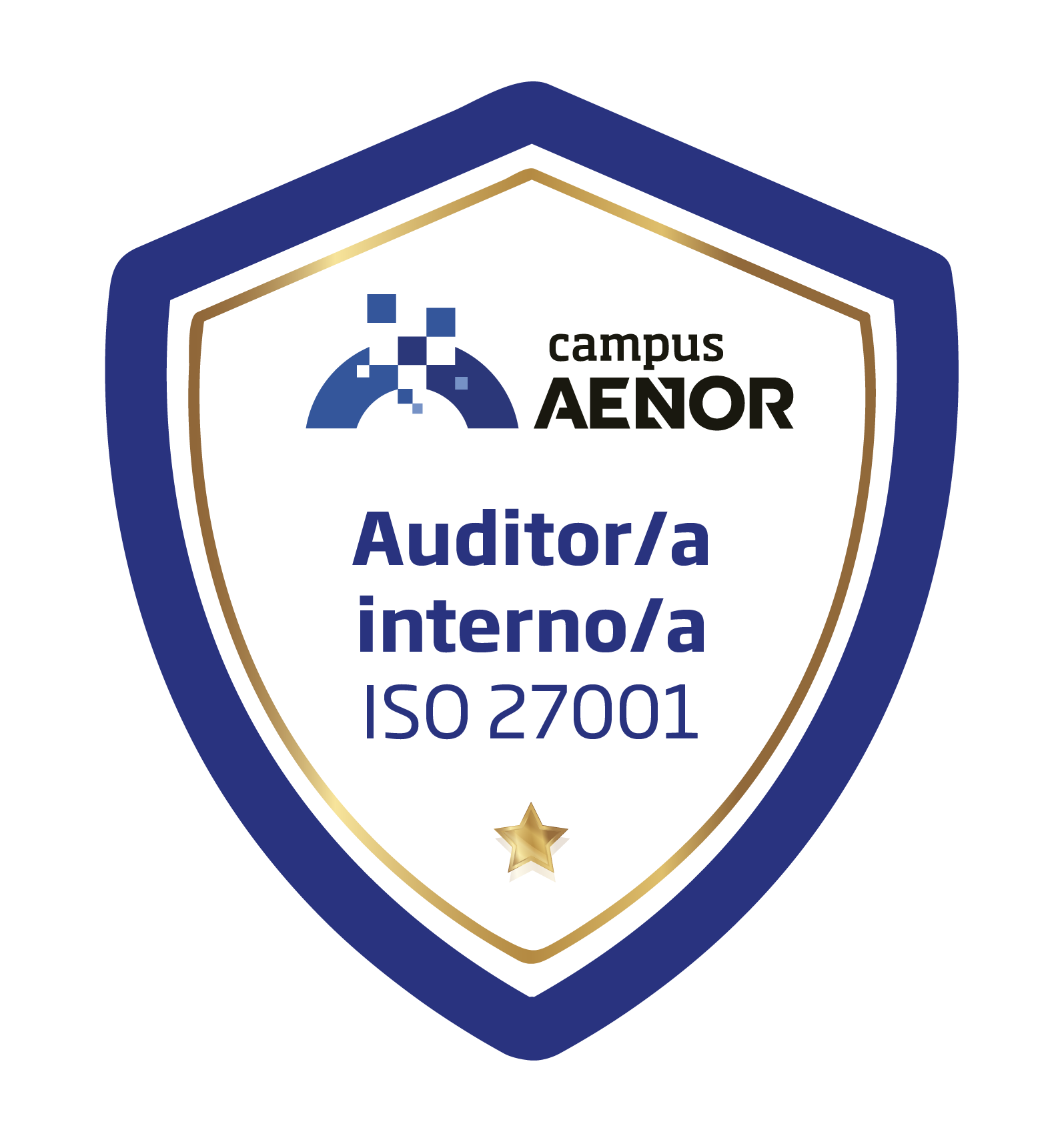 Certificado de Javier Movilla Iglesias