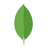 MongoDB Logo