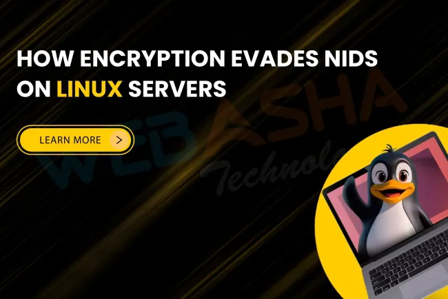 How Encryption Helps Attackers Evade NIDS Detection on Linux Servers | The Detailed Guide