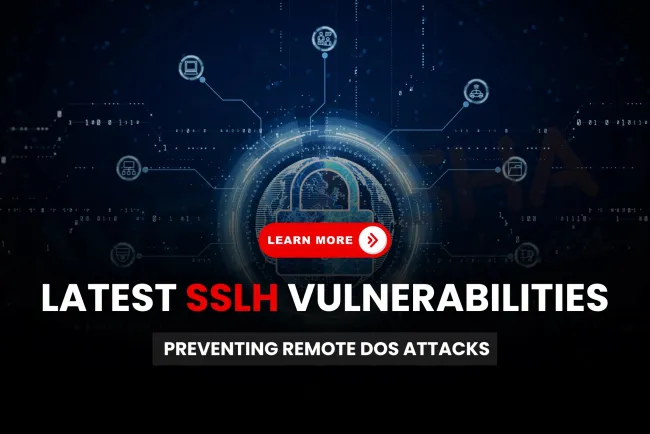 What Are the Latest sslh Vulnerabilities (CVE-2025-46806 & CVE-2025-46807) and How to Prevent Remote DoS Attacks?