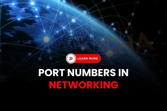 What Are the Old and New Port Numbers in Networking? Complete List of Protocol Ports and Their Updated Uses (2026 Guide)