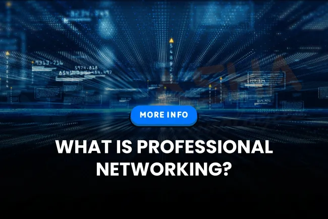 The Impact of Social  Media on Professional Networking in 2025 | The Detailed Guide