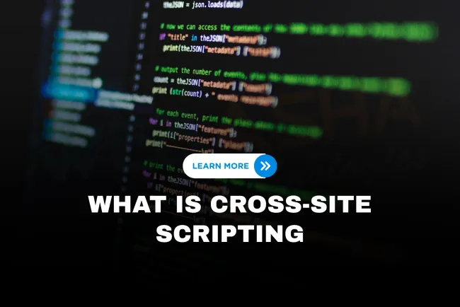 What is Cross-Site Scripting (XSS) and how can it be prevented? The Detailed Guide
