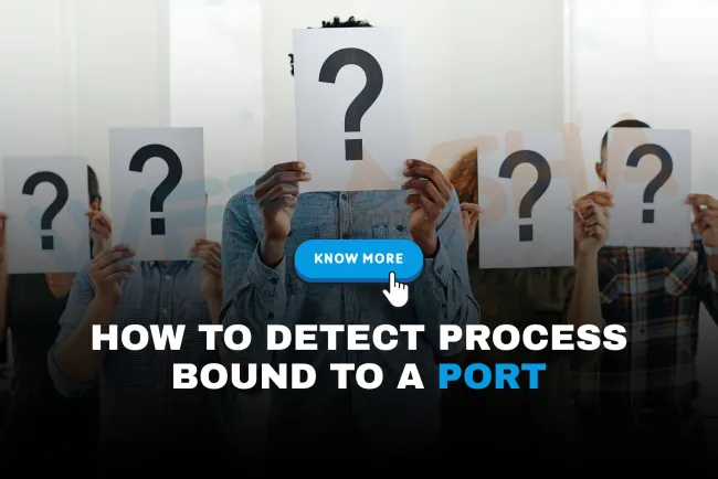 How can I check which process is using a specific port on my system?