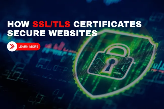How does an SSL/TLS certificate work to secure a website connection?