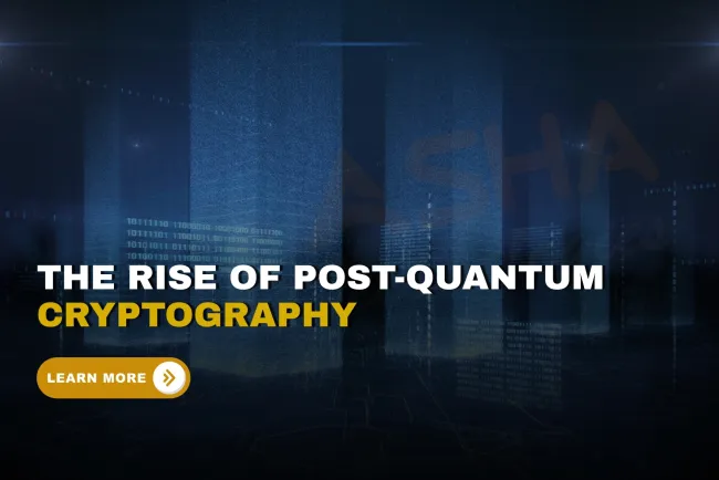 What is the impact of quantum computing on encryption and how is post-quantum cryptography evolving to protect data?