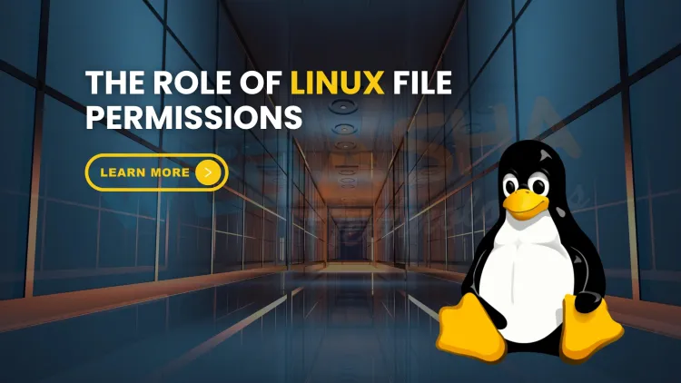 What is the role of Linux file permissions in cybersecurity? The Detailed Guide