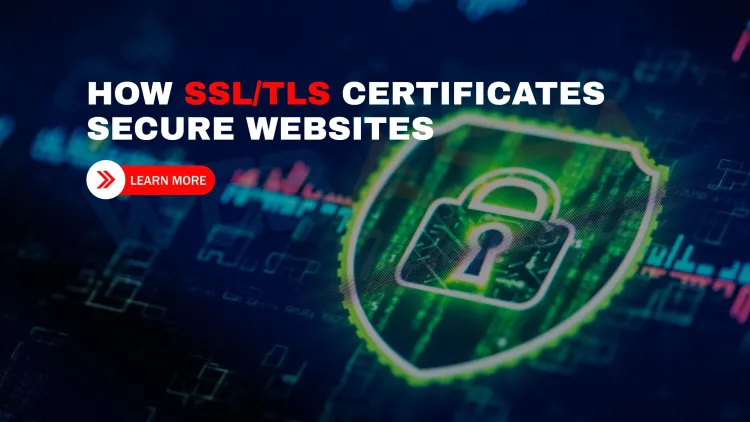 How does an SSL/TLS certificate work to secure a website connection?