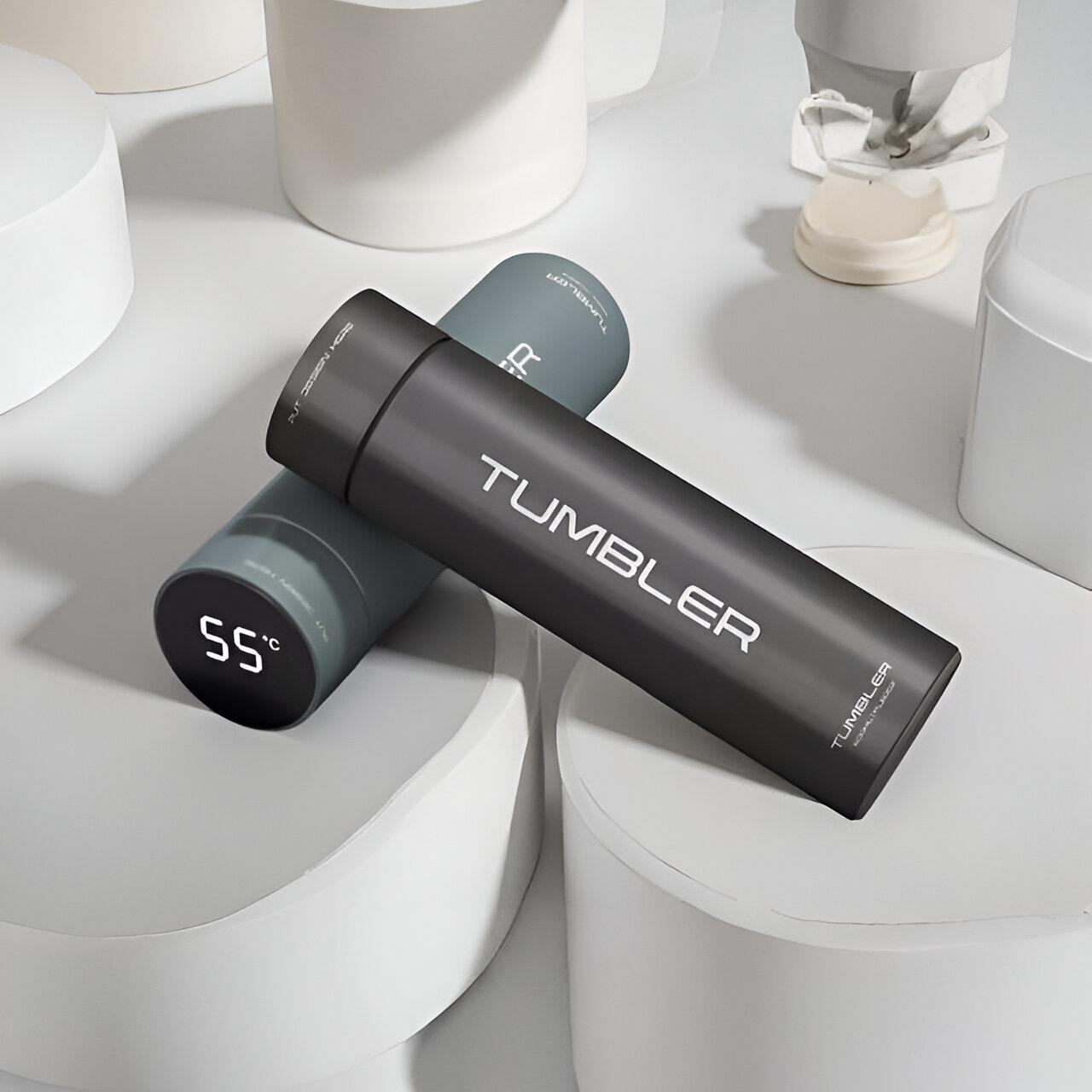 Temperature Display Water Bottle