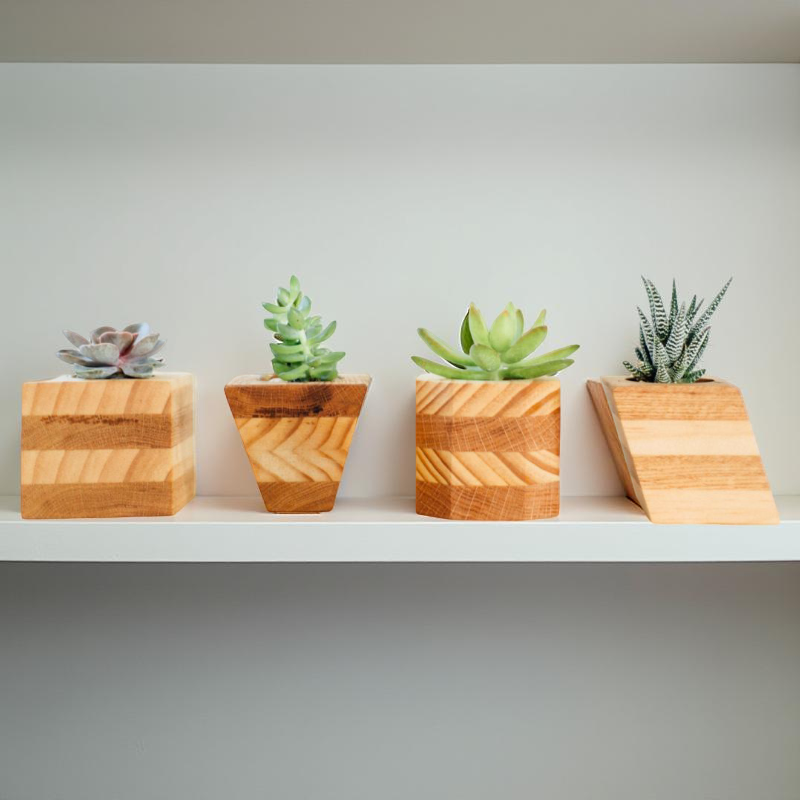 Modern Wooden Succulent Planters