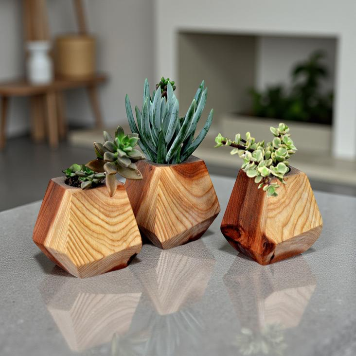 Minimalist Wooden Geode Planter