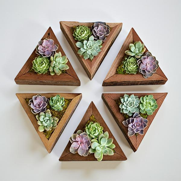 Triangle Planter Box