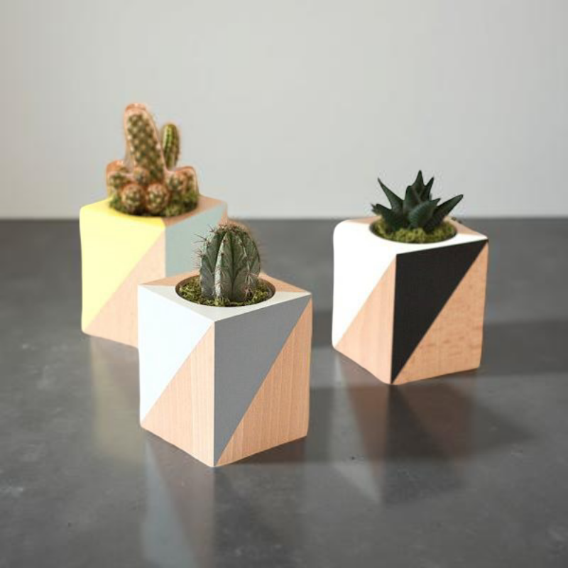 Geometric Succulent Plant Pot