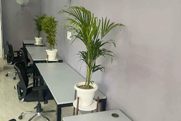 workd coworking malviya nagar malviya nagar coworking space 1122_763156.webp