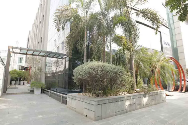 nubase sector 44 sector 44 coworking space 1533_522980.webp