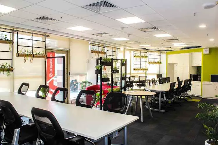the office pass sector 39 sector 39 coworking space 1604_807315.webp
