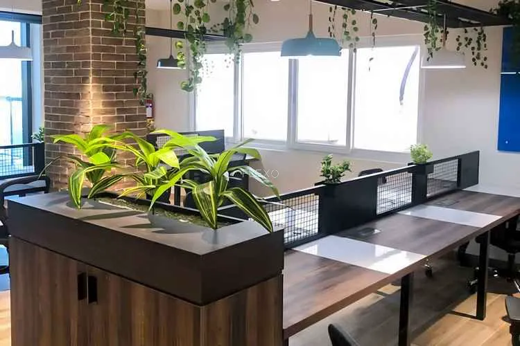 incubex hsr layout hsr layout coworking space 1914_364225.webp