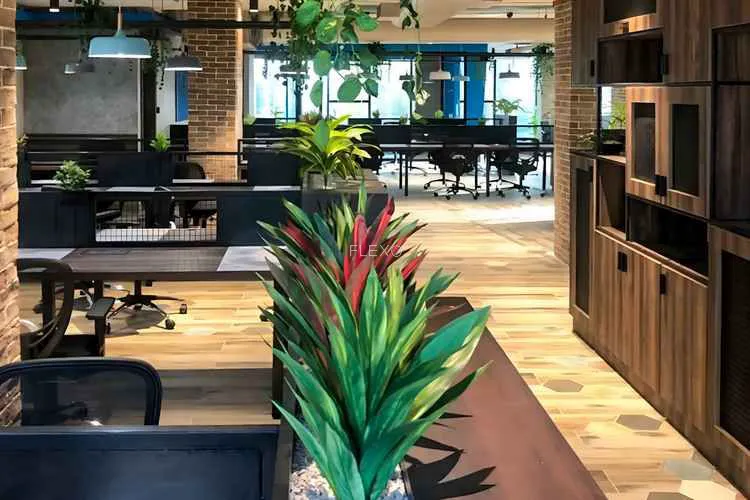 incubex hsr layout hsr layout coworking space 1914_733999.webp