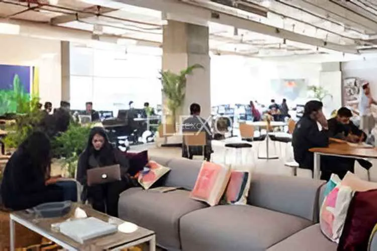 wework dlf phase 3 dlf phase 3 coworking space 2357_913498.webp