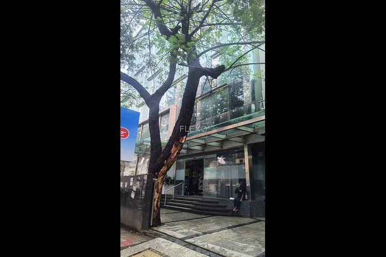notan heights bandra west private office 2443_409643.webp