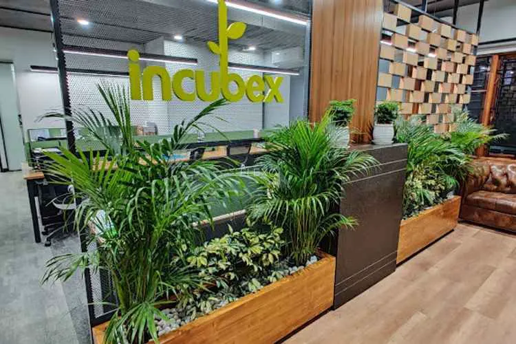 incubex hq hsr layout hsr layout coworking space 781_861003.webp