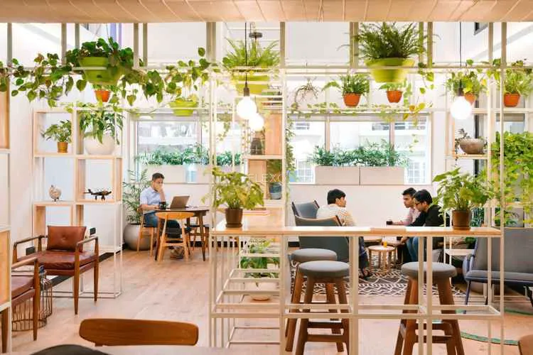 wework koramangala koramangala coworking space 864_723596.webp