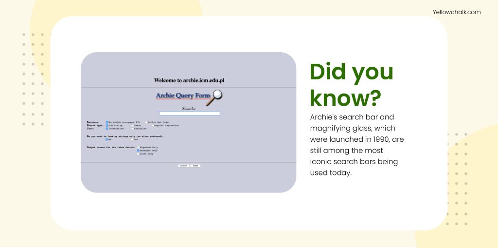 Archie's Search Bar | Yellowchalk