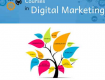 Want to do Digital Marketing  Course