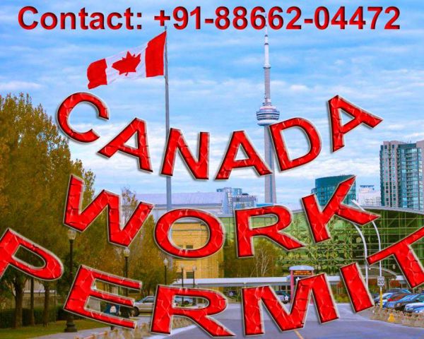 Canada Work Permit 101 Guaranteed Visa Visa Agents Mohali 171316872 Only candidates with the highest scores and greatest interest from employers will be invited to submit an application to the provincial nominee program. clickindia com