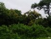 Agricultural Land/Plot For Sale 1400.0 Acres 7.1 Lakhs In Narsapur Highway