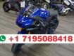 Brand New Yamaha R3