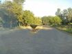 Open Land/Plot For Sale 10.5 Lakhs In Oraiyan Golden Enclave, Nelamangala Road 1200.0 Sq. Feet