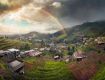 Great holiday packages for family treep in ooty