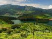 Amazing Special Offer For OOTY Package